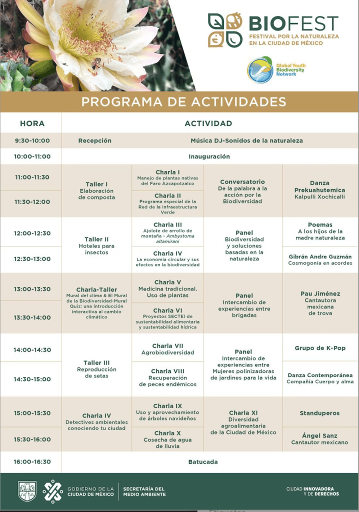 Captura de pantalla 2024 08 17 a las 11.55.44 p.m